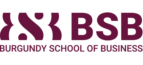 logo-bsb logo-bsb